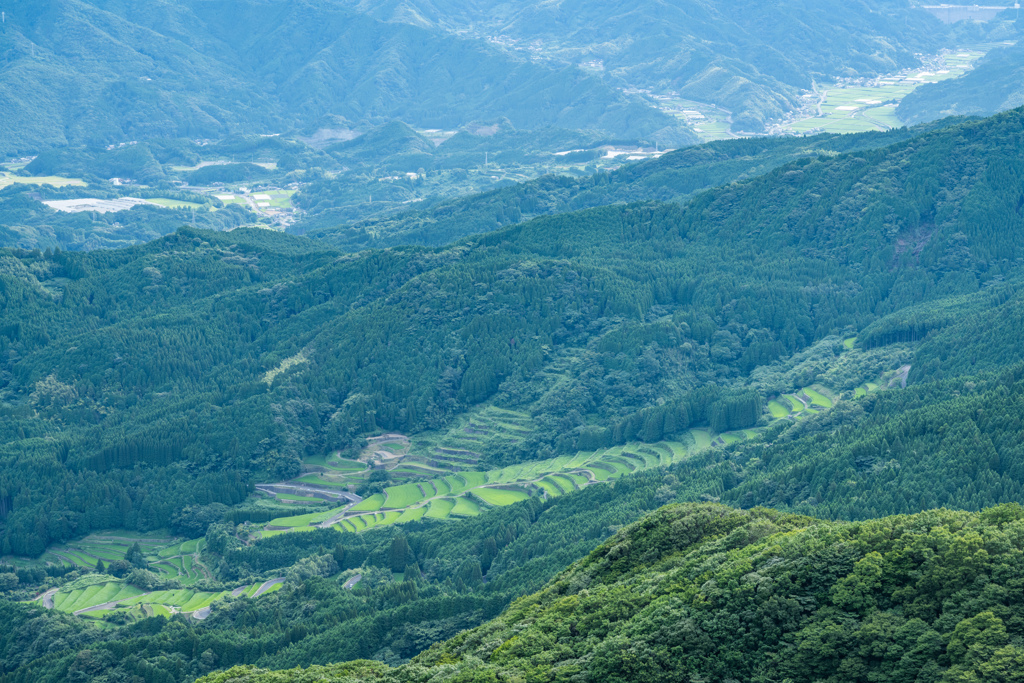 蕨野棚田