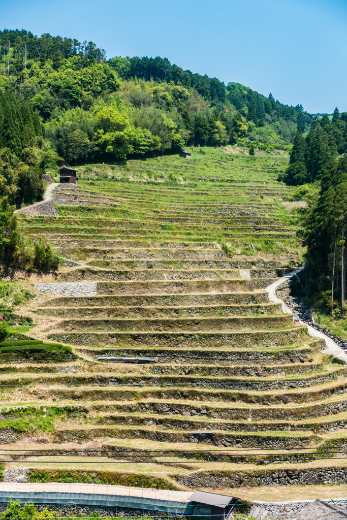 広内の棚田