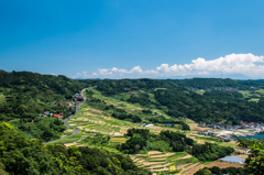 大浦の棚田-1