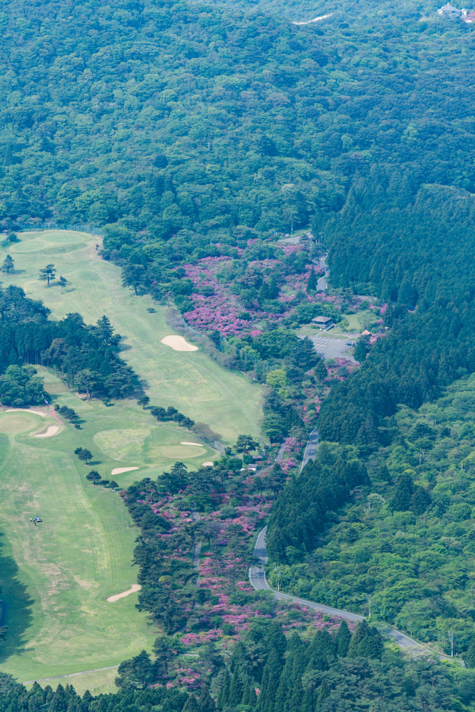 池の原を見下ろす