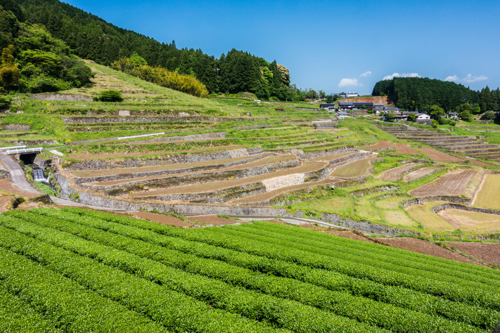鬼木の棚田-2