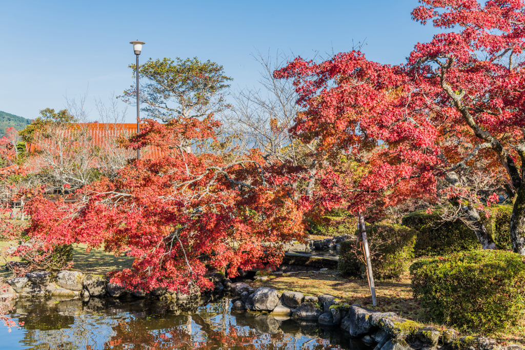 西渓公園-4