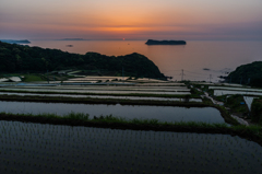 納所2015.05.01_1902