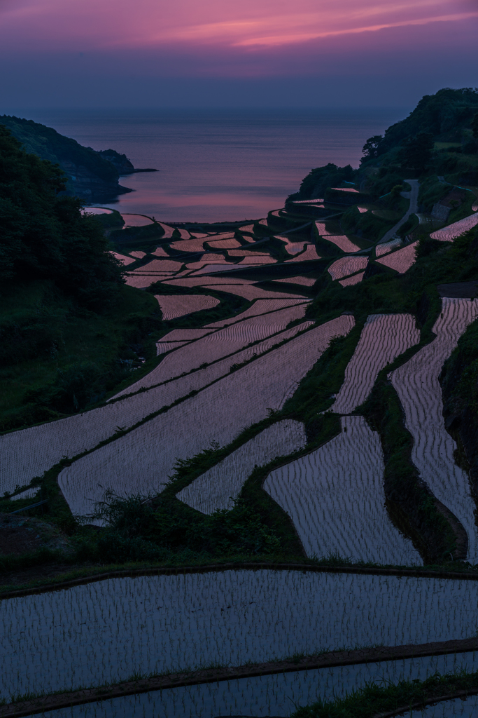 浜野浦2014.05.09-16