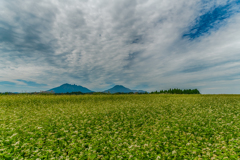 ソバ越しに阿蘇山