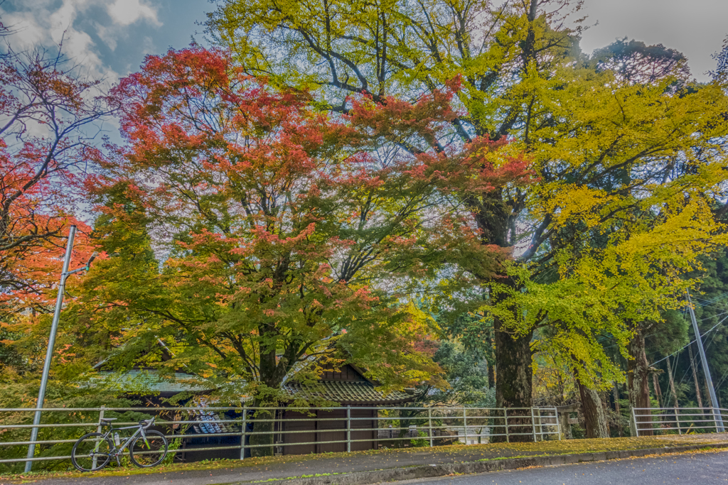 杉山白石神社にて