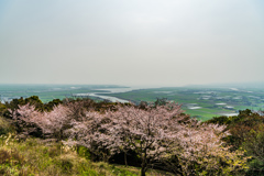 さくらの里から塩田川河口