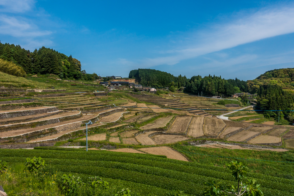 鬼木の棚田-3