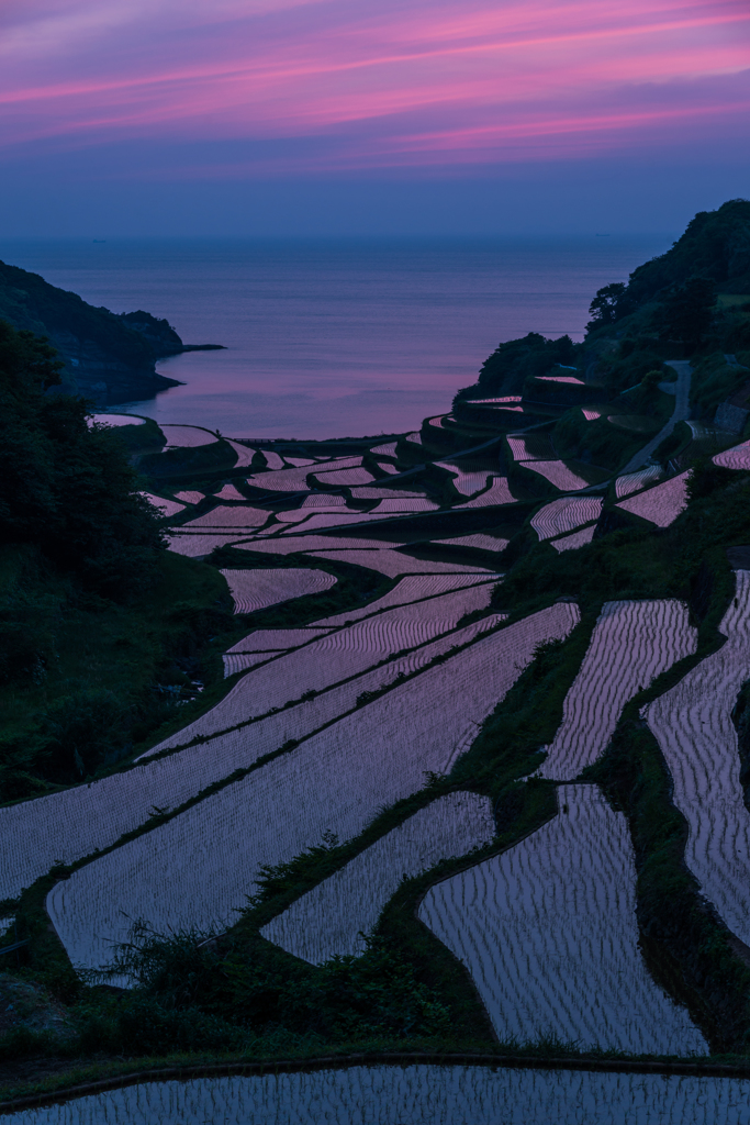 浜野浦2014.05.09-22