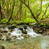 山吹水源からの渓流