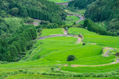 大平の棚田-2
