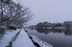 雪の佐賀城堀端