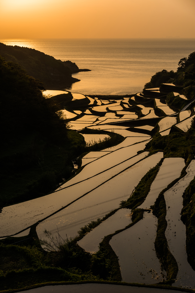 浜野浦2015.04.21_1817
