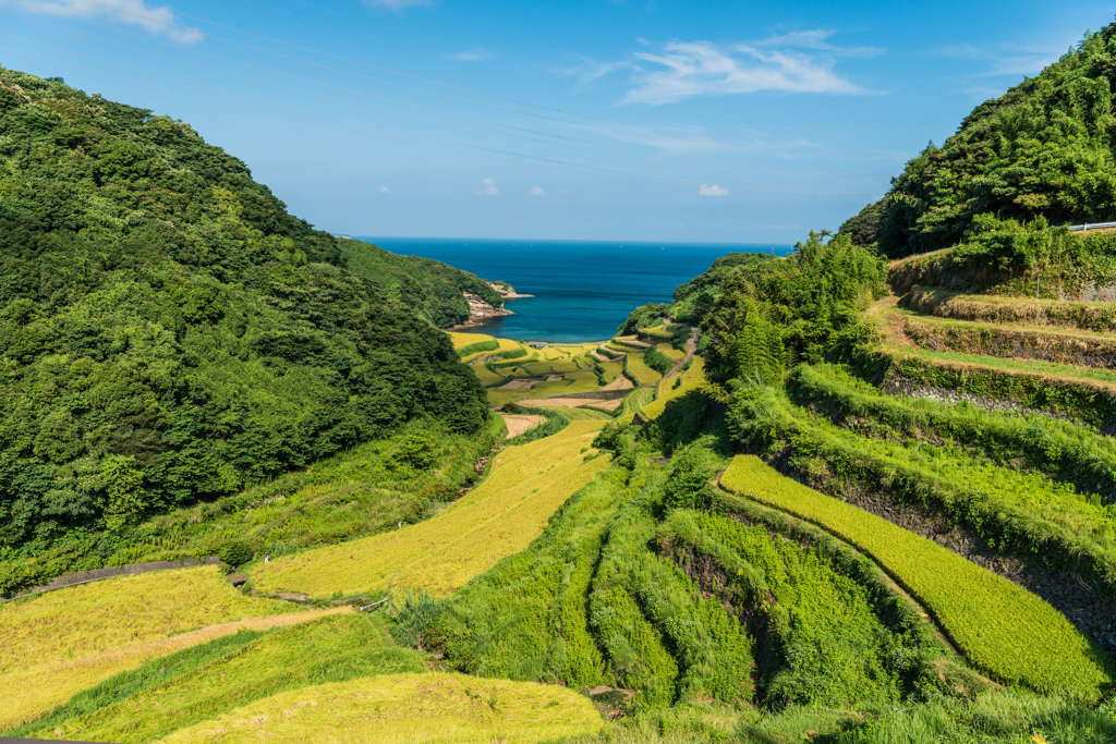夏の浜野浦-1