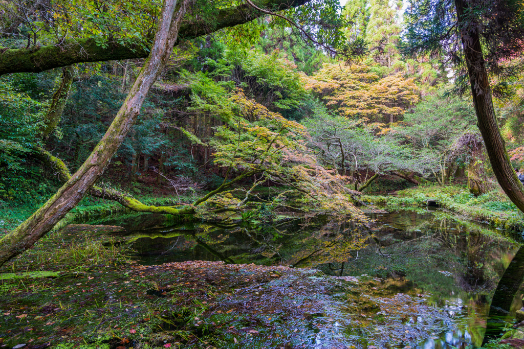 山吹水源-3