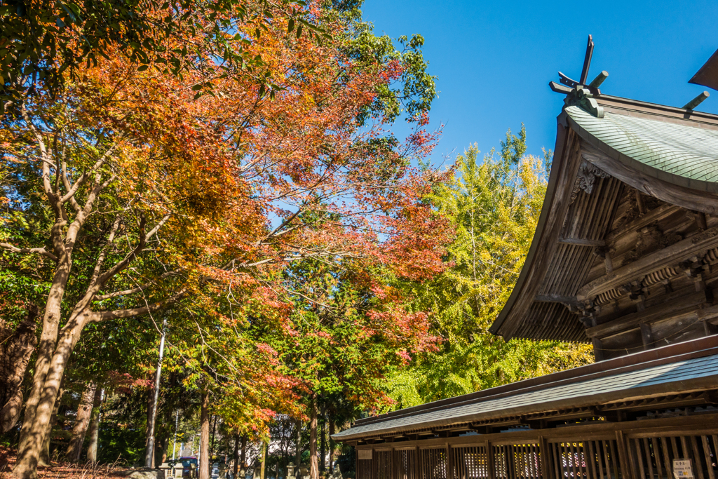 與止日女神社-2