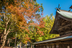 與止日女神社-2