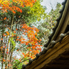 石場神社の紅葉