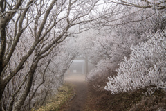 霧氷とガスの妙見神社
