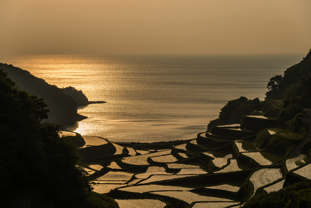 浜野浦2014.05.09-01