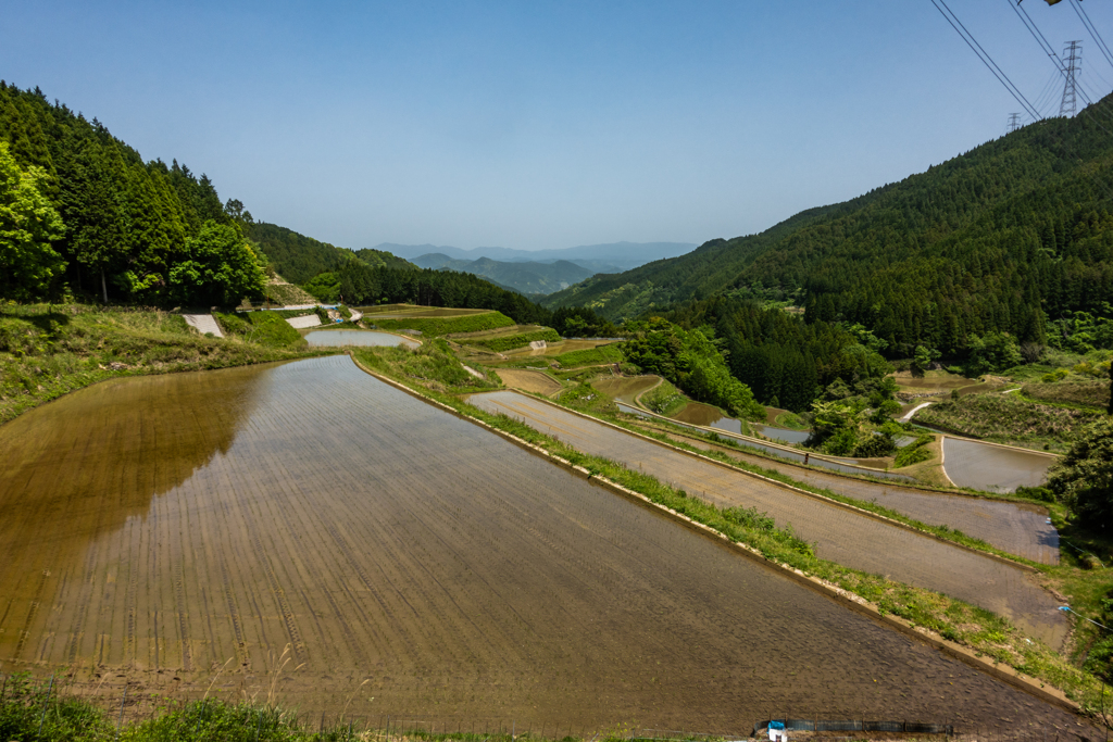 市川の棚田