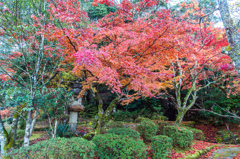 西渓公園-2