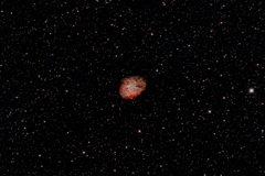 M1_2020.12.05