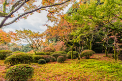 主屋前の庭-1