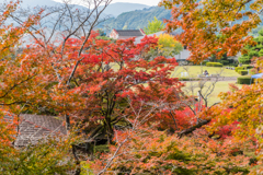 多久西渓公園-1