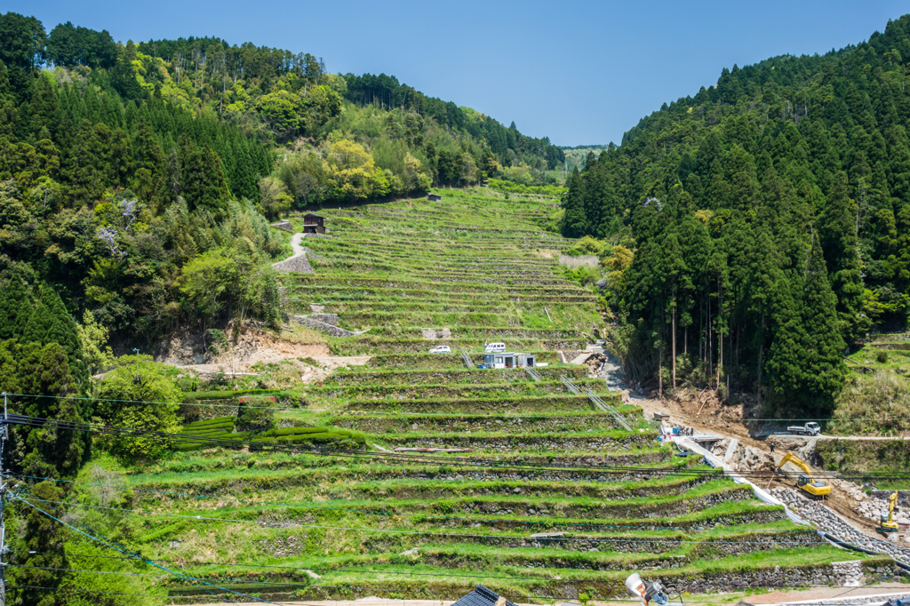 石積みの棚田