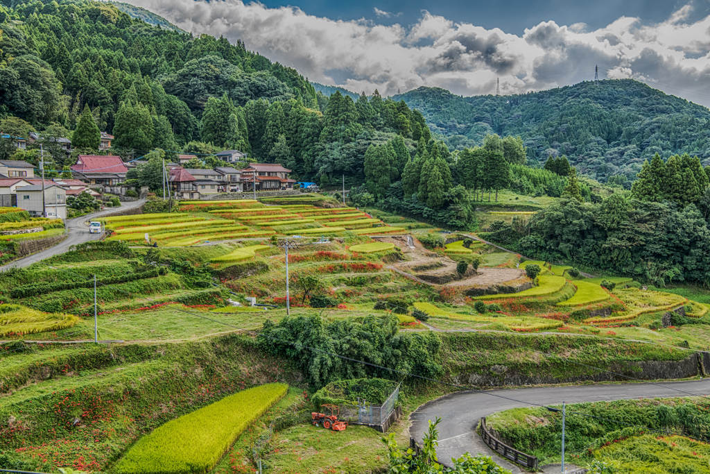 江里山棚田