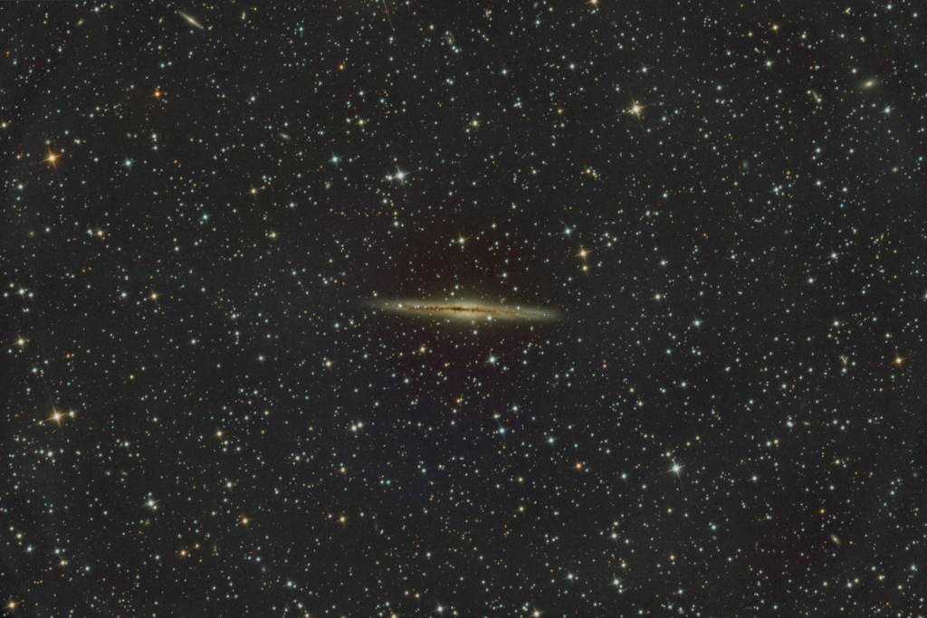 NGC891_2020.11.21