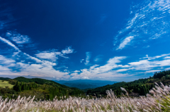 青空とススキの間
