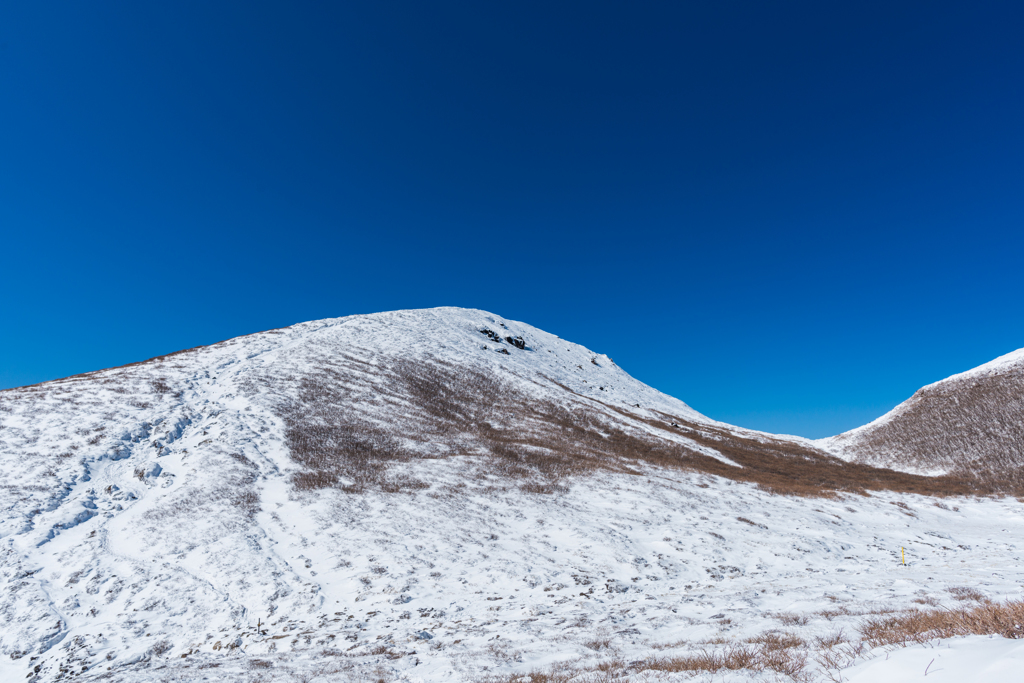稲星山から久住山への登り