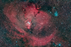NGC2264_2022.01.01