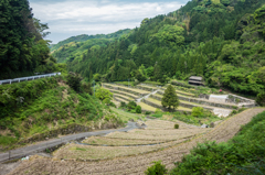 日向の棚田-1