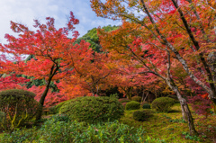 九年庵-主屋前の庭_2014.11.20-2