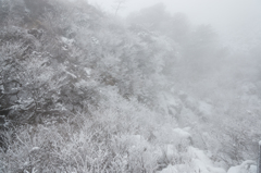 霧氷沢にて-2