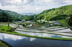 江里山の棚田