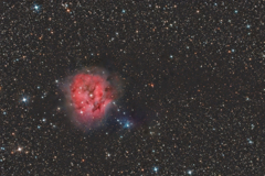 IC5146_2023.08.21