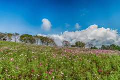 白木峰高原-4