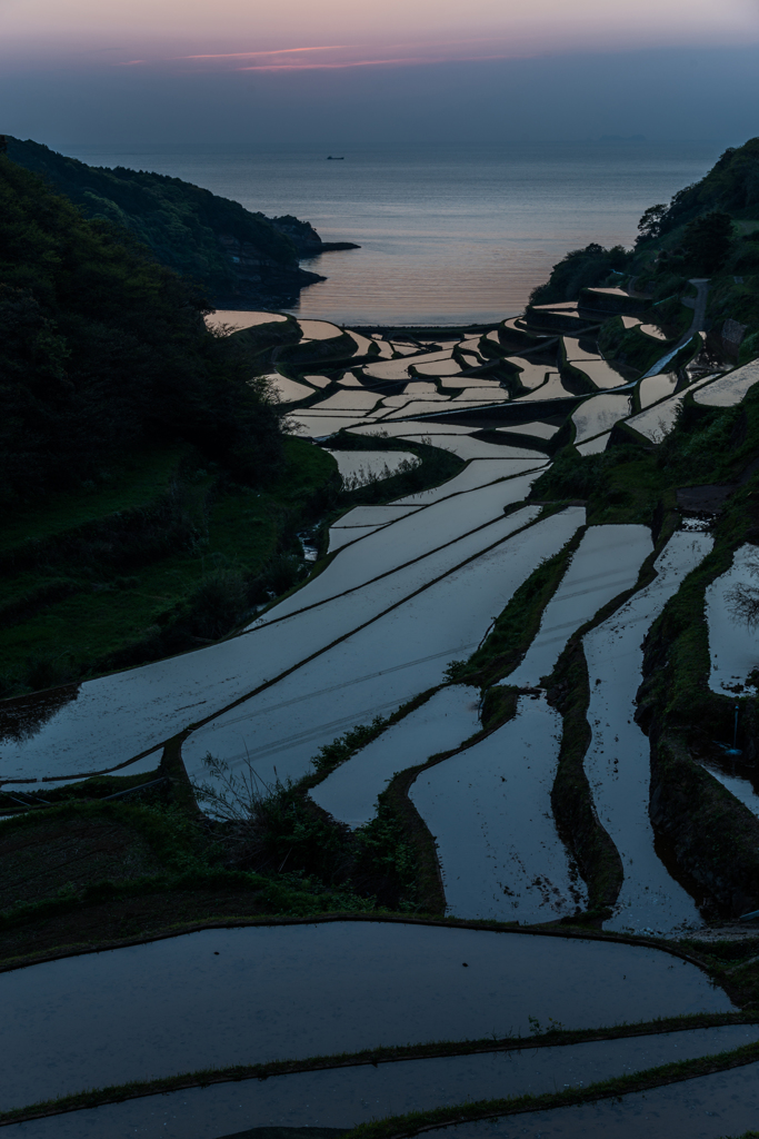 浜野浦2015.04.21_1859