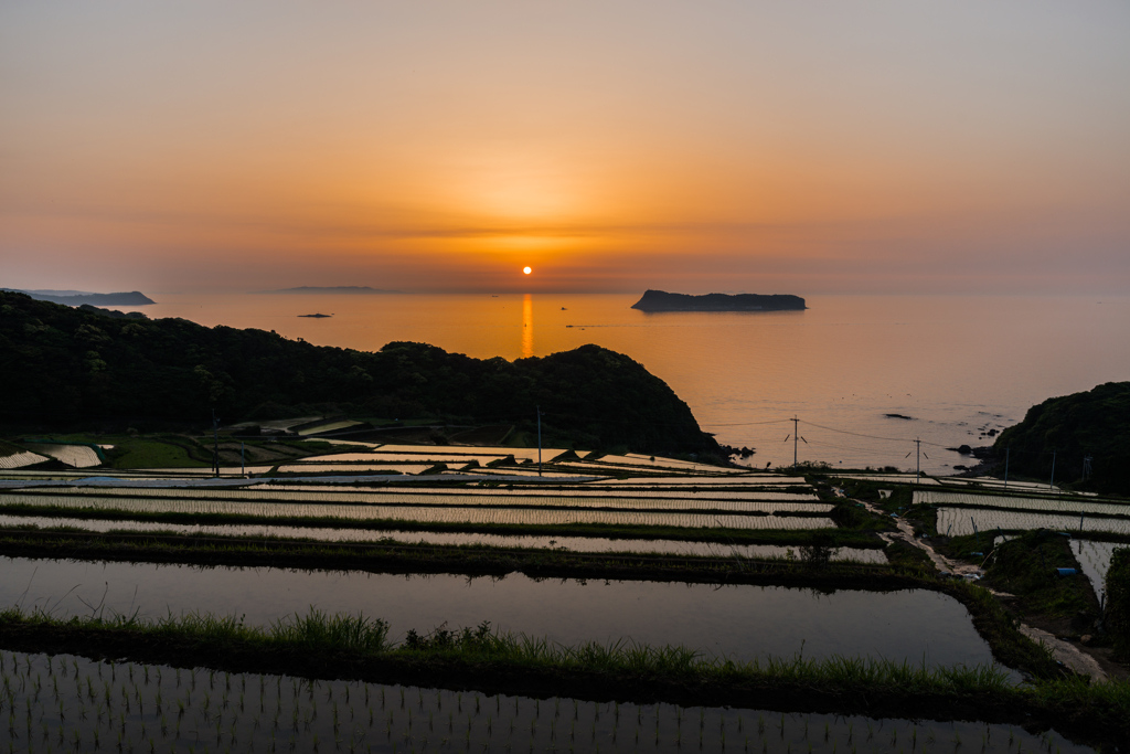 納所2015.05.01_1853