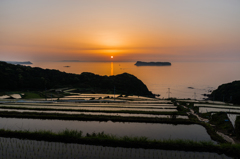 納所2015.05.01_1853