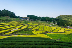 鬼木の棚田-1