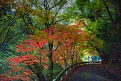 雄淵雌淵-2