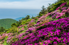 妙見への登りにて