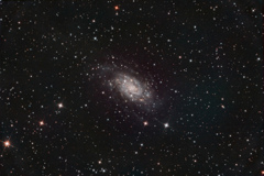 NGC2403_2021.02.04