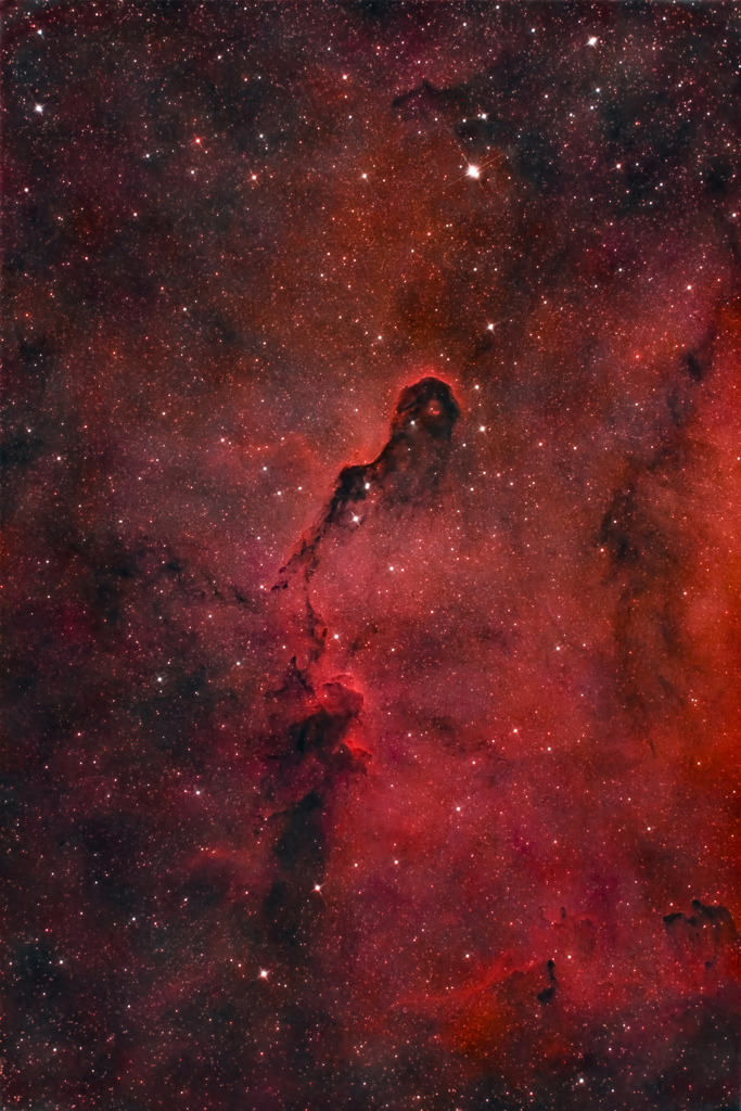 IC1396_2022.09.09