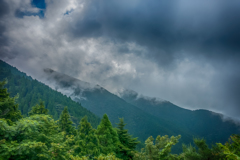 駆け上がる雲